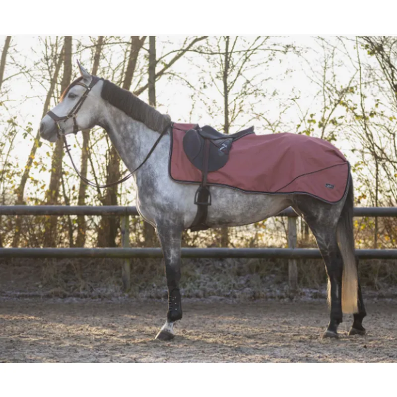 QHP Exercise Sheet Turnout Collection - Terra